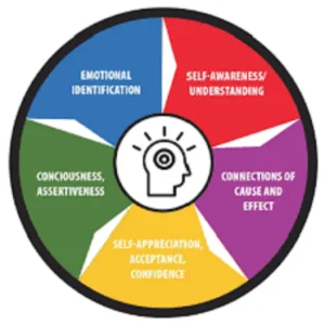 Emotional Intelligence Course